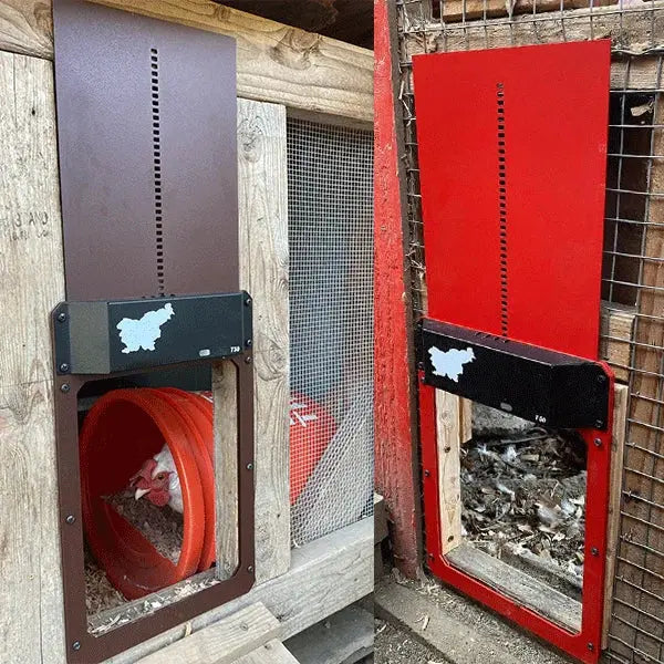 Maliben | Automatic Chicken Coop Door - Weatherproof & Predator Safe With Easy Installation