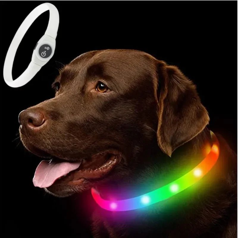 Maliben | LED Light Collar for Dogs for Safe Walks at Night