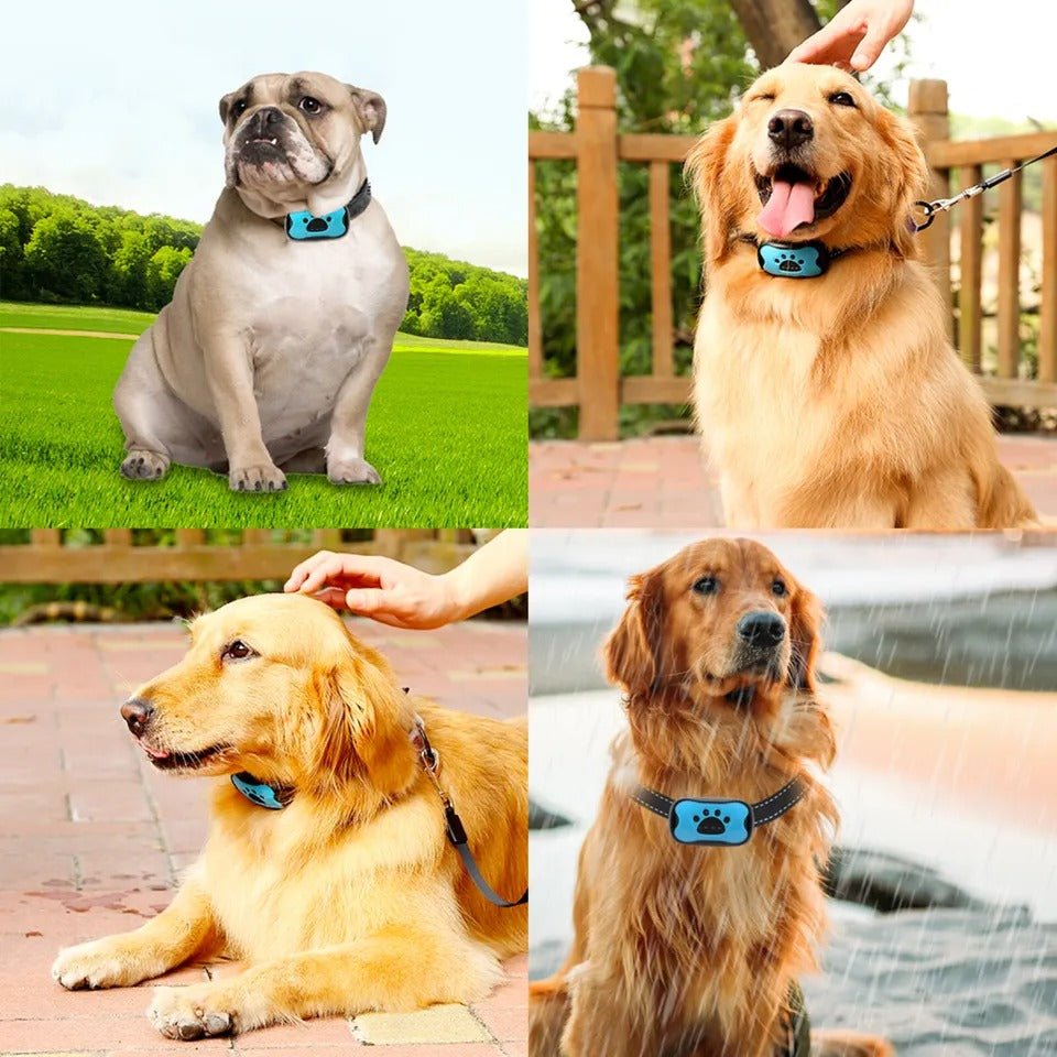 Maliben | Intelligent Anti-Bark Dog Collar with Sonic Wave Technology and Adjustable Fit