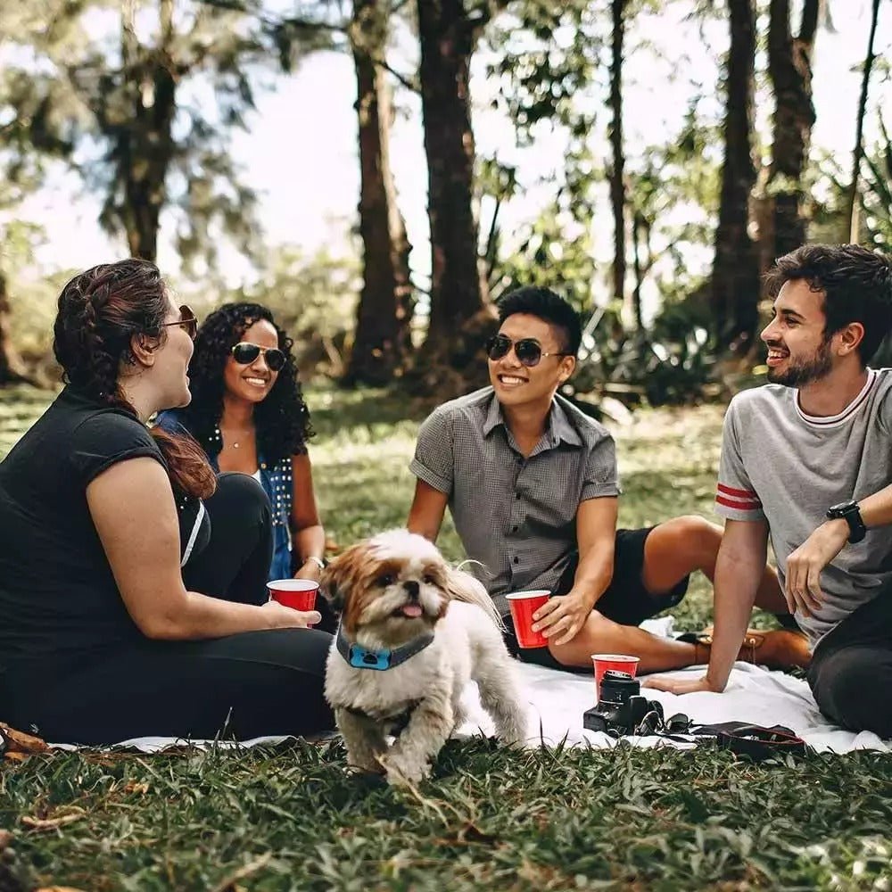 Maliben | Intelligent Anti-Bark Dog Collar with Sonic Wave Technology and Adjustable Fit