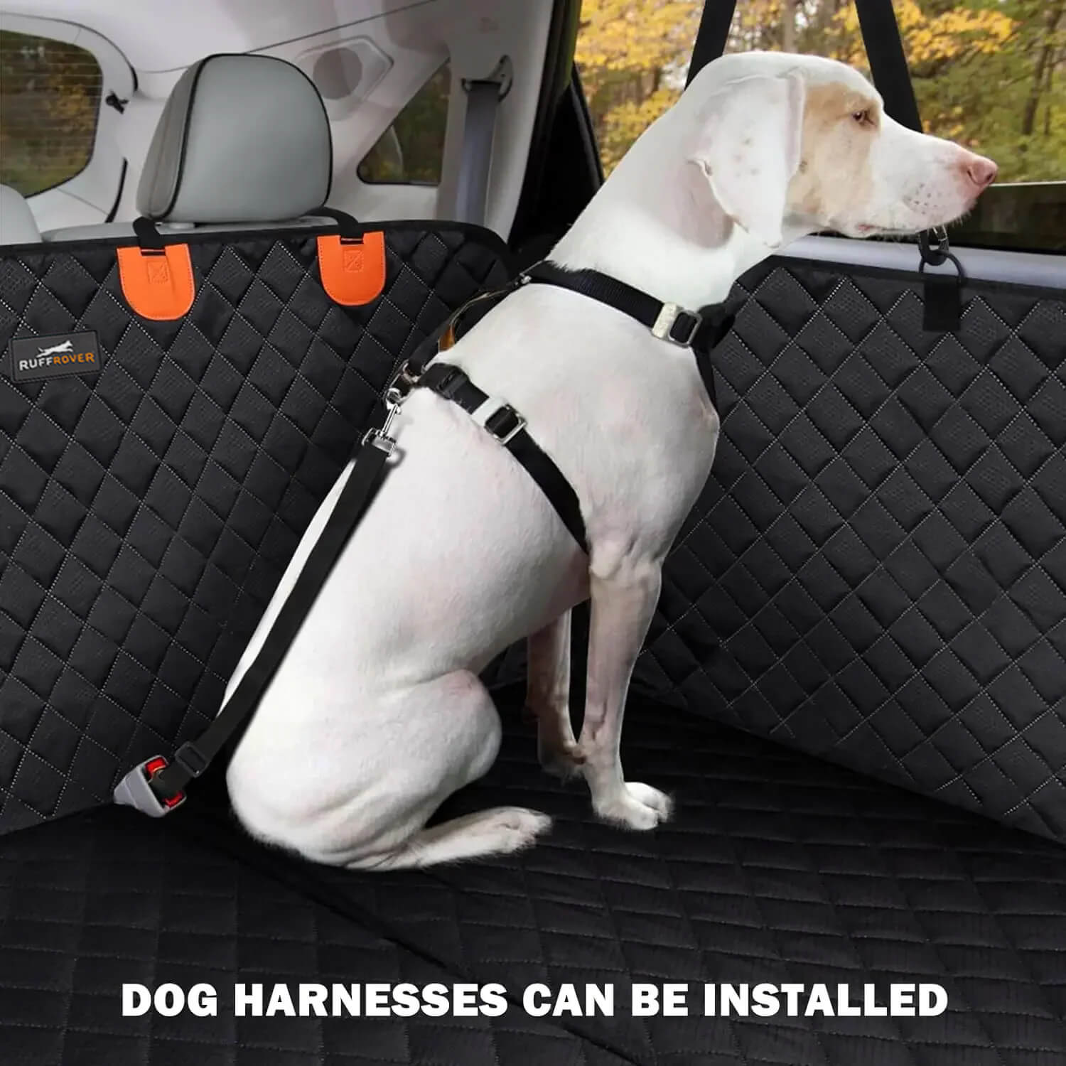 Maliben | Dogbench | Travel Peacefully With Your Dog