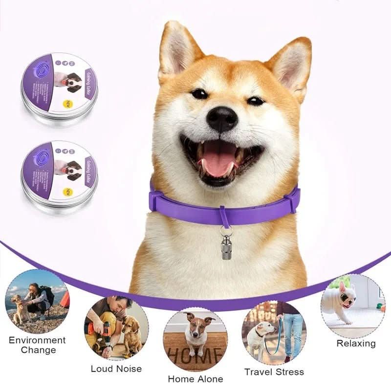 Maliben | Calming collar with pheromones for relaxed dogs