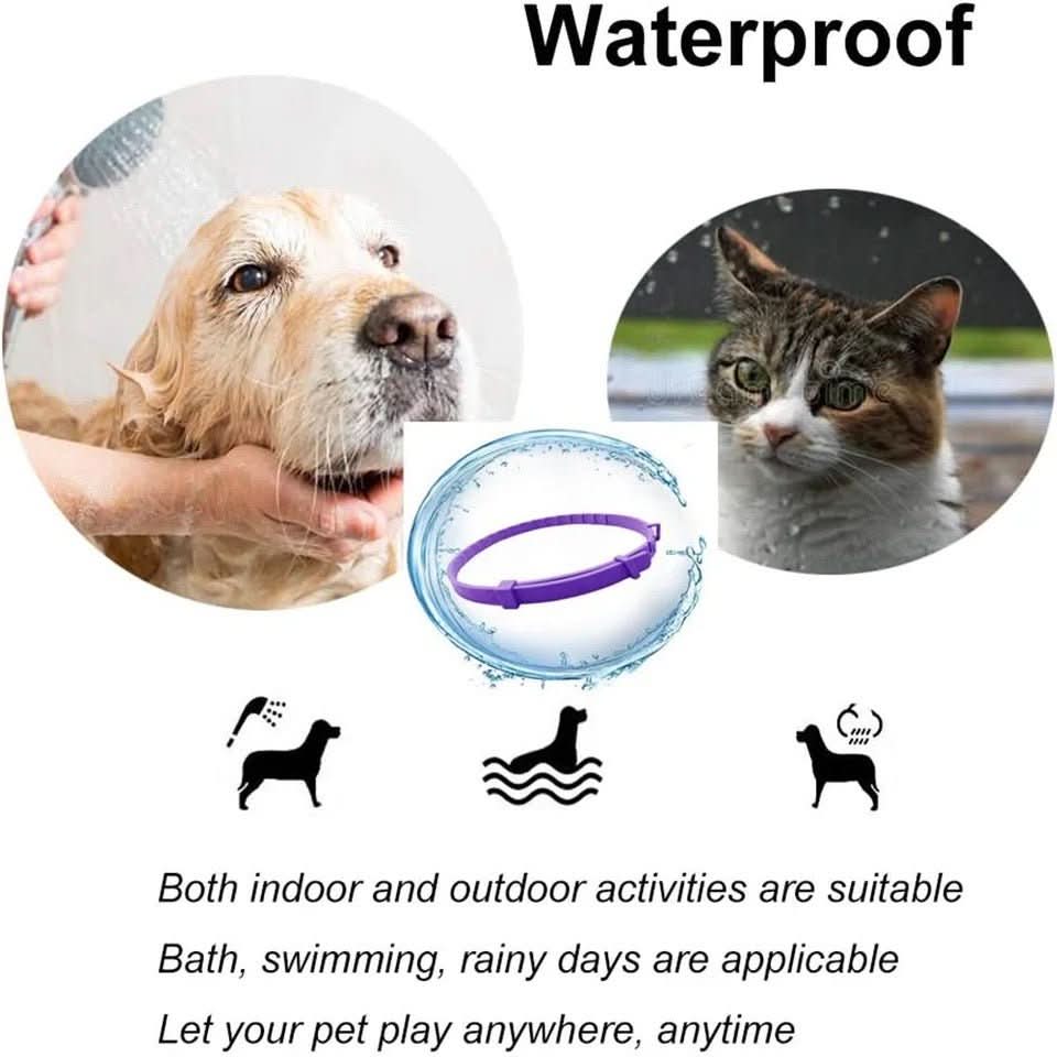 Maliben | Calming collar with pheromones for relaxed dogs