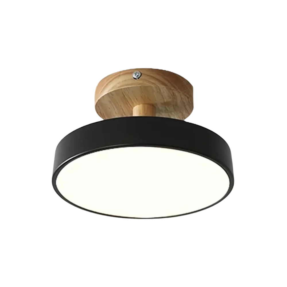 Maliben | Compact Modern Led Ceiling Lamp
