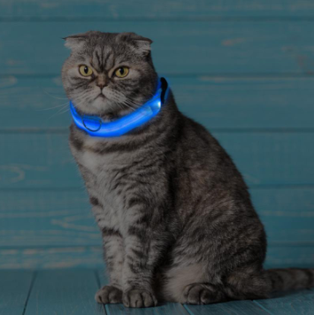 Maliben | Light Up Dog Collar - Flashing Dog Collar