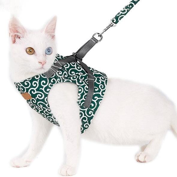 Maliben | Cat vest harness and leash set for walks