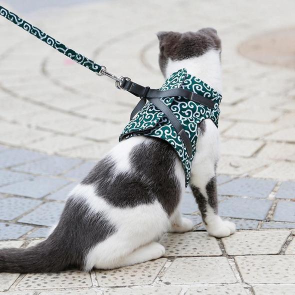 Maliben | Cat Vest Harness and Leash Set to Outdoor Walking
