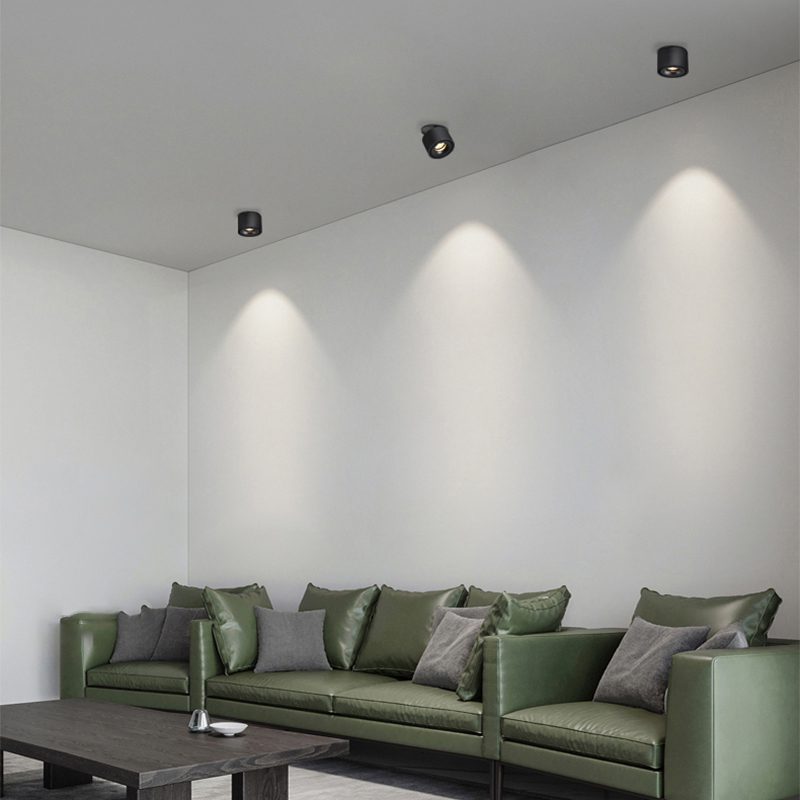 Maliben | Adjustable CylInder Built-in Led Ceiling Lamp