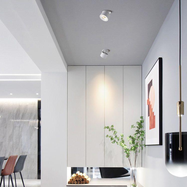 Maliben | Adjustable CylInder Built-in Led Ceiling Lamp