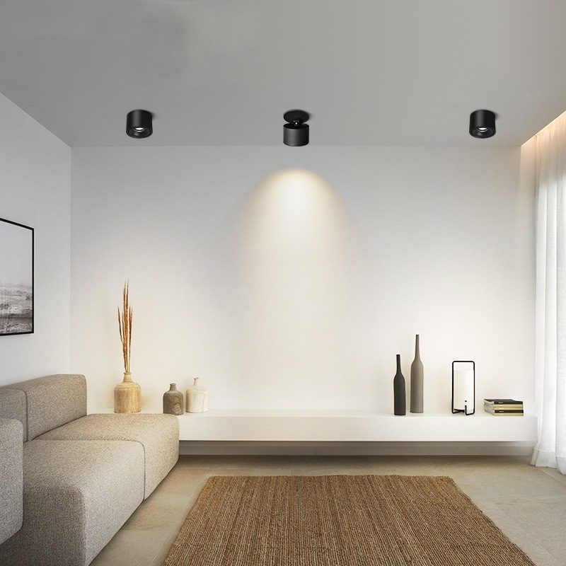 Maliben | Adjustable CylInder Built-in Led Ceiling Lamp