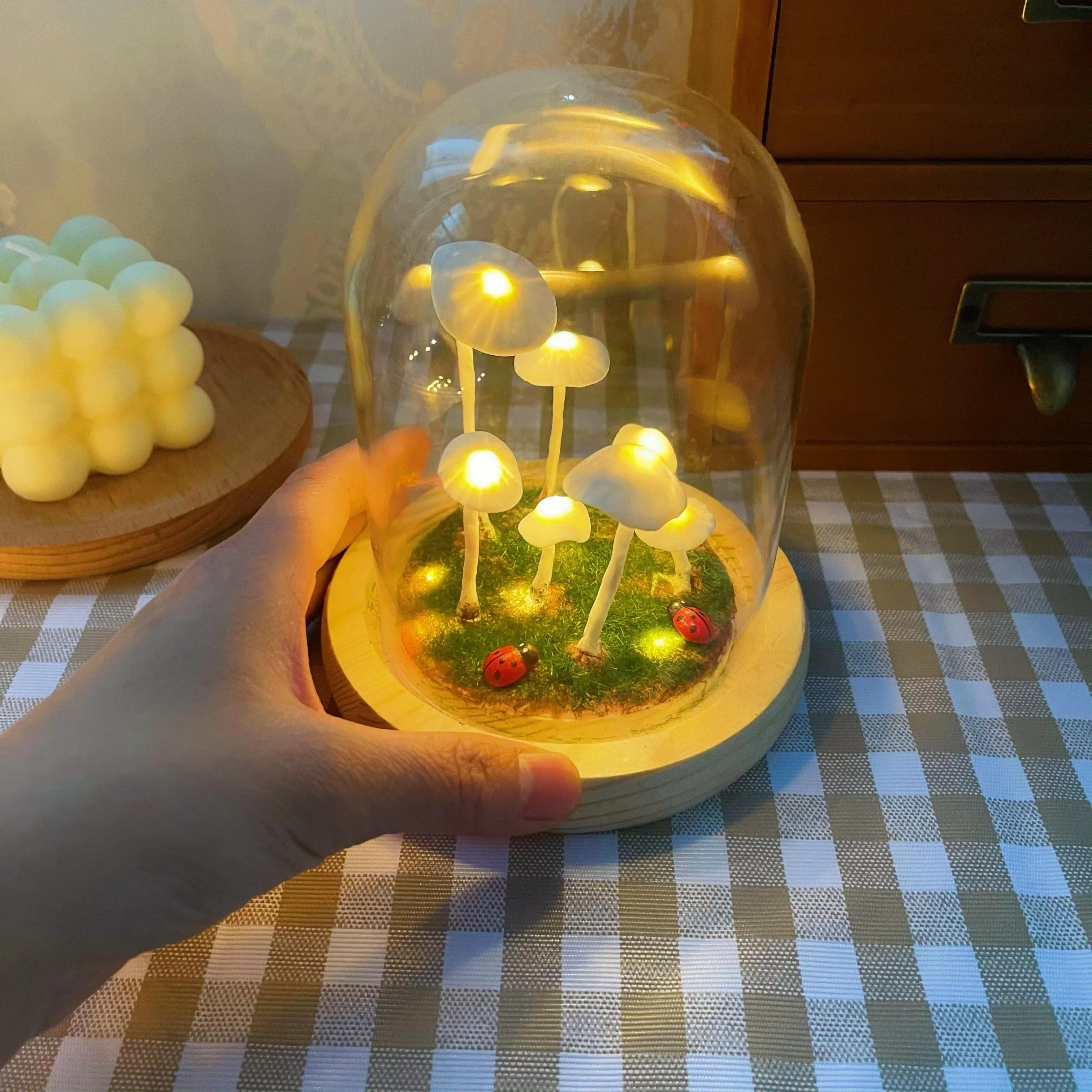 Maliben | Mycojar - Make Your Own Mushrooms - Natural Glass Diy - Awaken Your Creativity