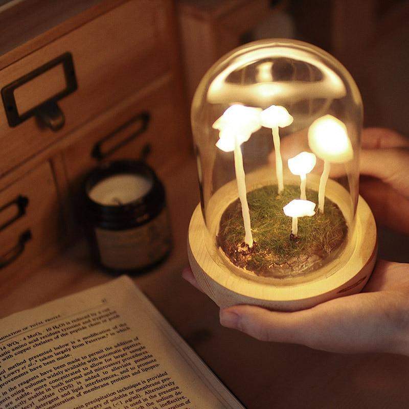Maliben | Mycojar - Make Your Own Mushrooms - Natural Glass Diy - Awaken Your Creativity