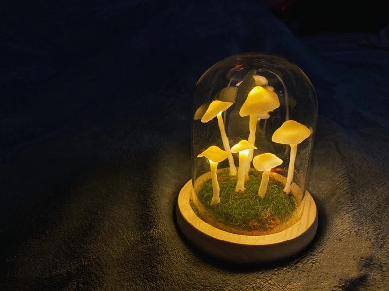 Maliben | Mycojar - Make Your Own Mushrooms - Natural Glass Diy - Awaken Your Creativity