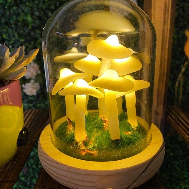 Maliben | Mycojar - Make Your Own Mushrooms - Natural Glass Diy - Awaken Your Creativity