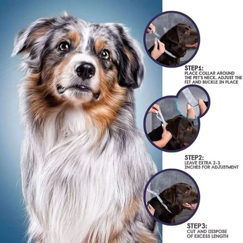 Maliben | PAWTECT - Anti-tick and flea collar