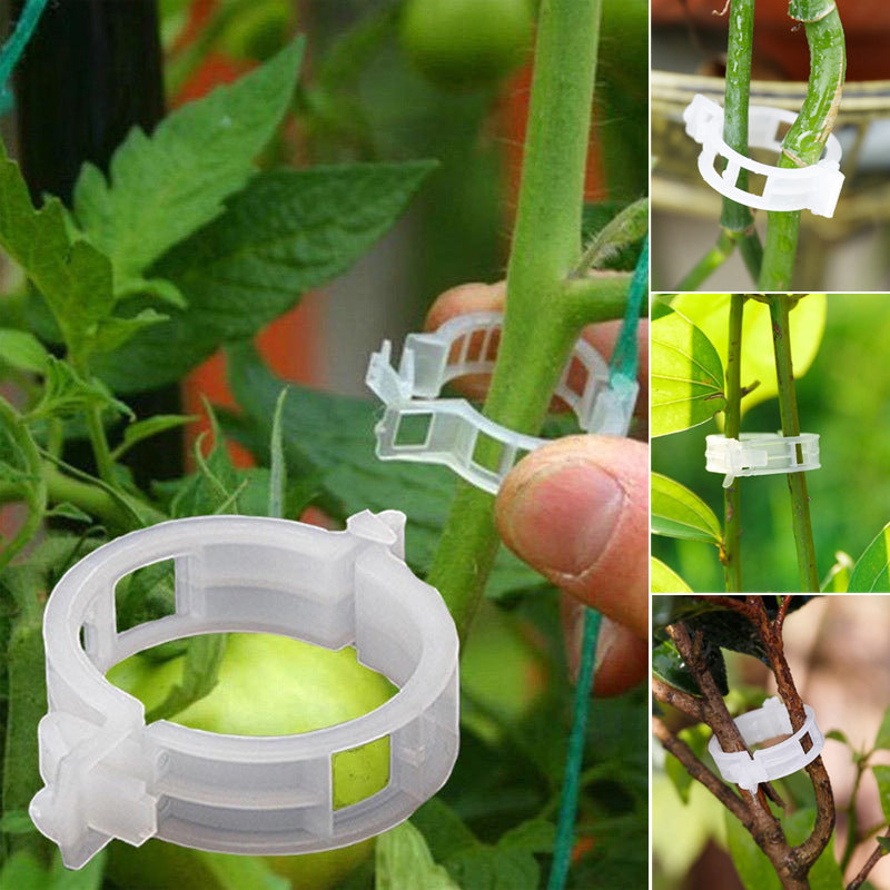 Maliben | Practical Plant Support Clip