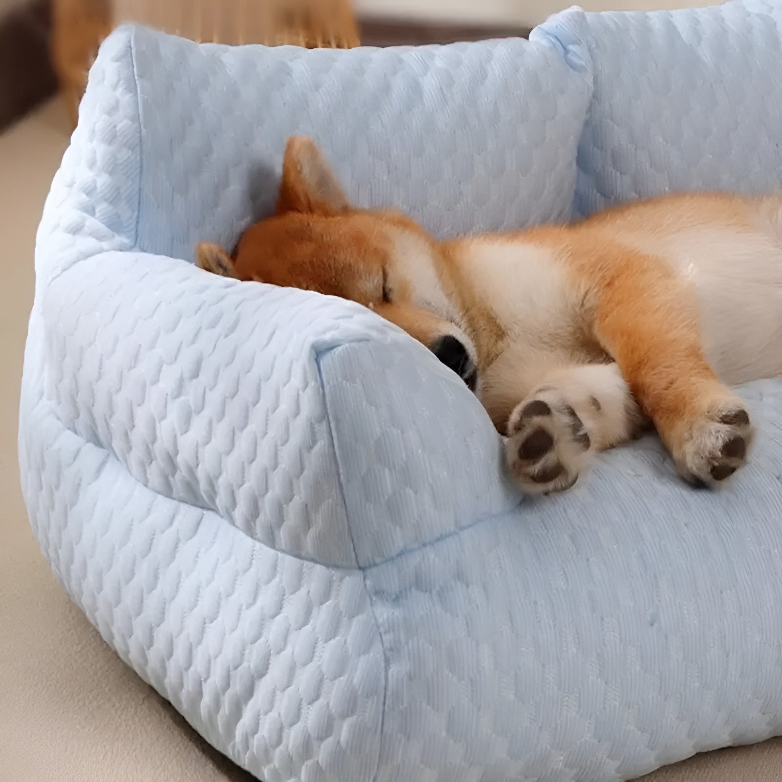 Maliben | Washable Plush Cushion Bed For Pets - Cozypaws