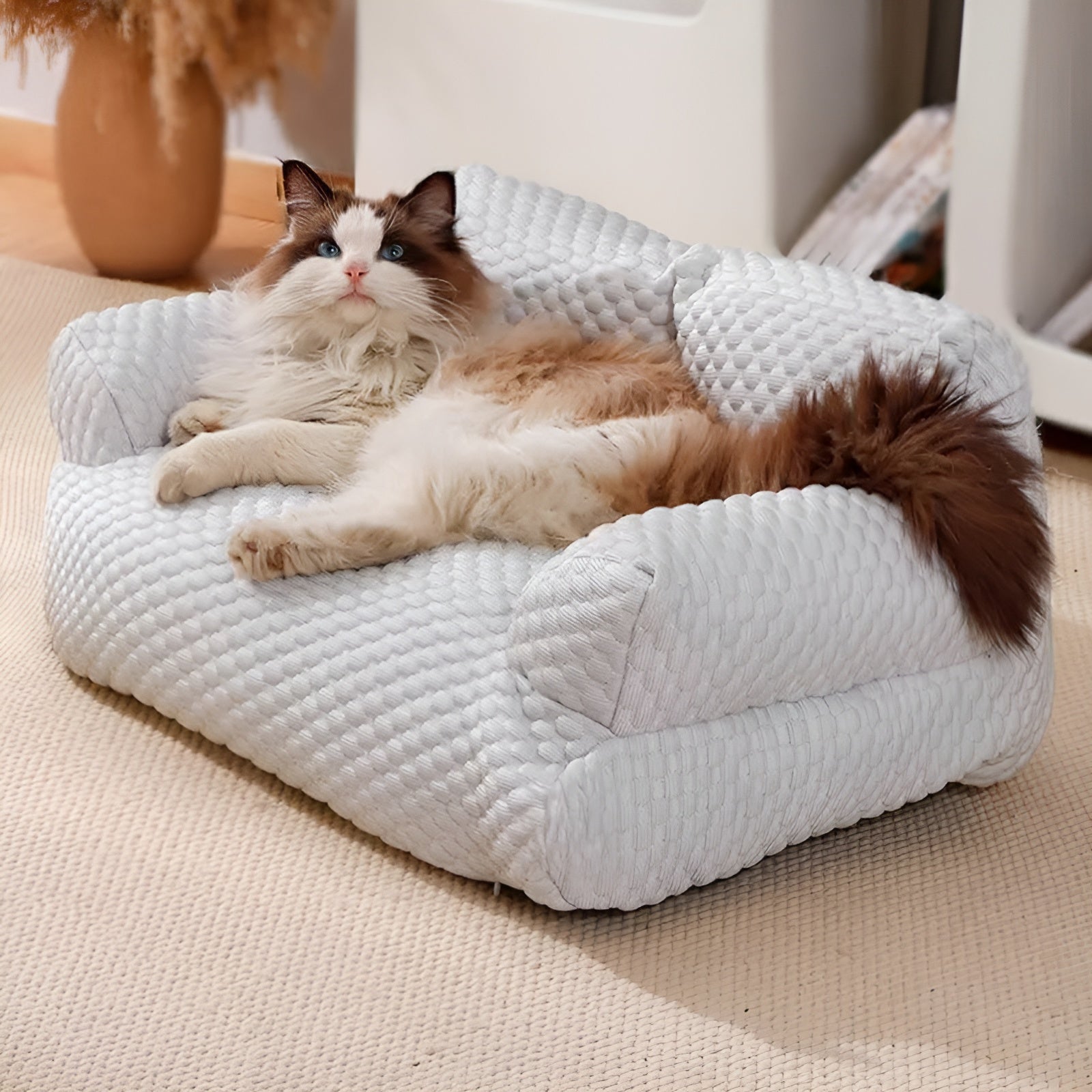 Maliben | Washable Plush Cushion Bed For Pets - Cozypaws