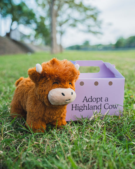 Maliben | The Hoogland Cow Plush - Great Gift