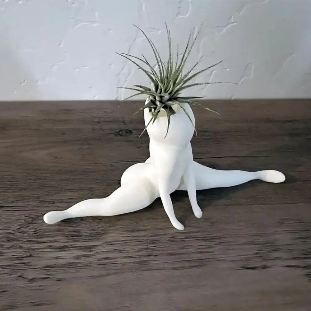 Maliben | Spooky Shape Air Plant Display - Spookybuddy