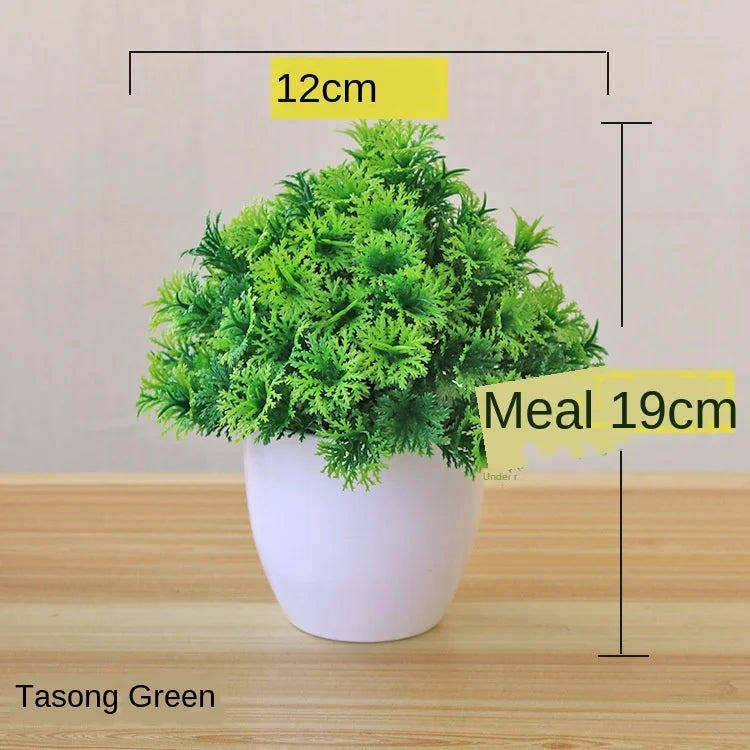 Maliben | Small Tree Pot Bonsai Plants
