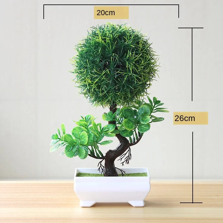 Maliben | Small Tree Pot Bonsai Plants