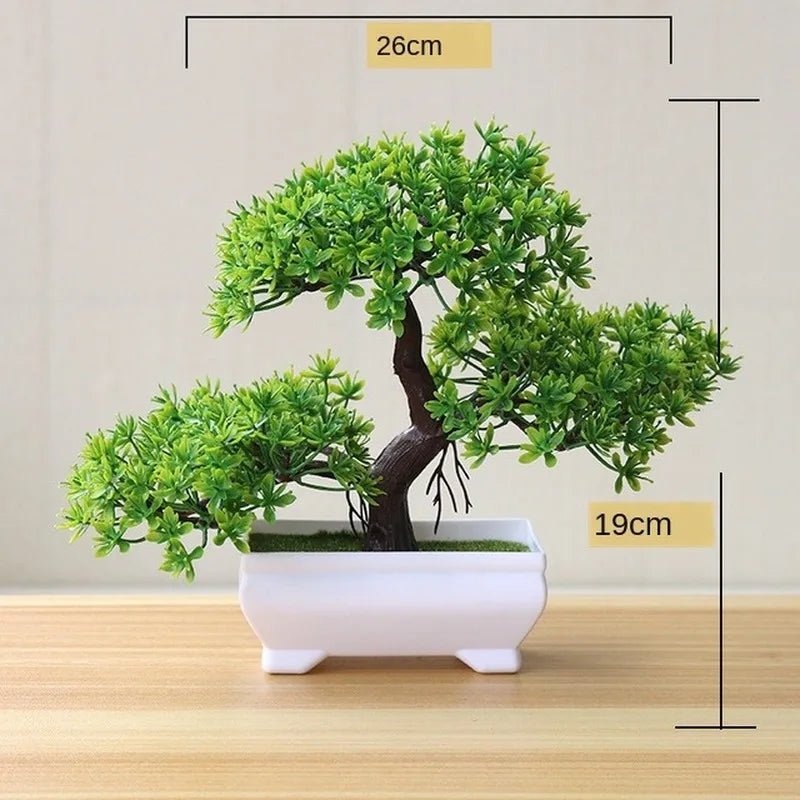 Maliben | Small Tree Pot Bonsai Plants