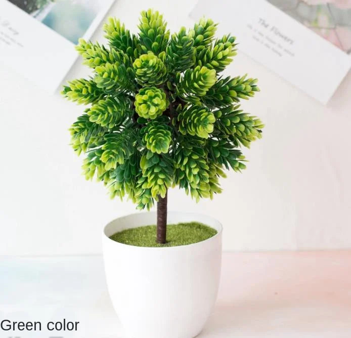 Maliben | Small Tree Pot Bonsai Plants