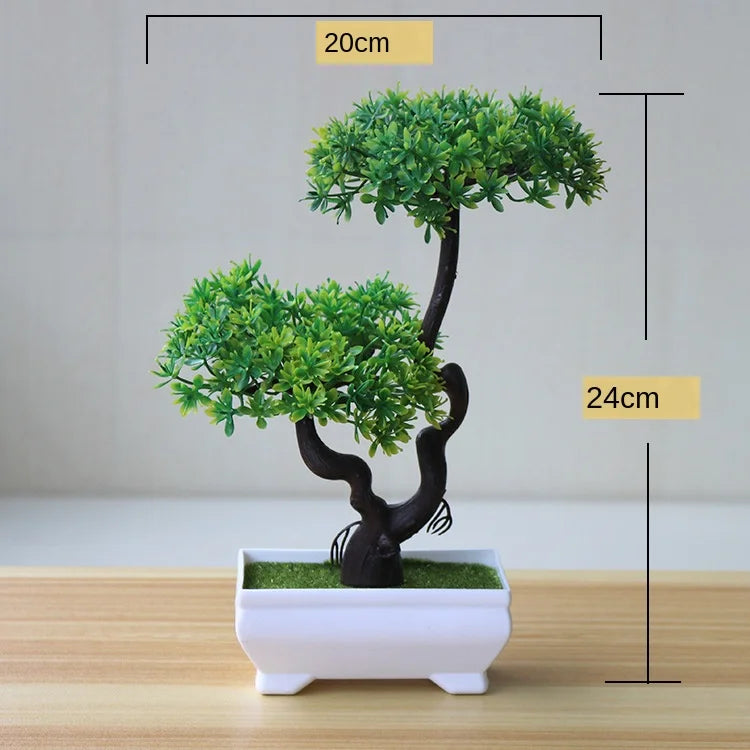 Maliben | Small Tree Pot Bonsai Plants