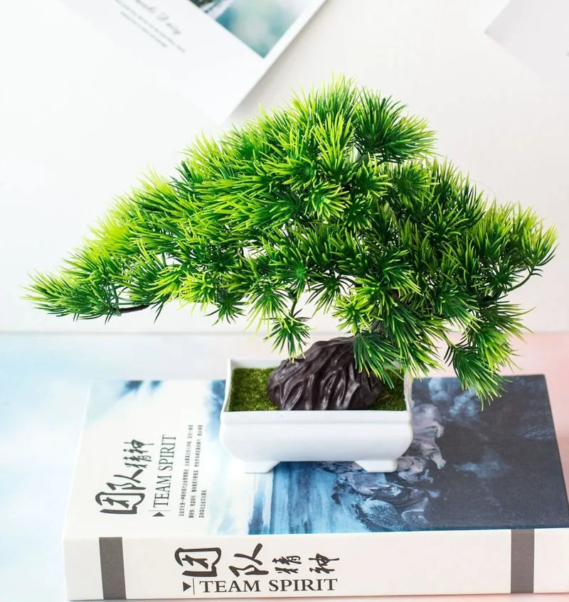 Maliben | Small Tree Pot Bonsai Plants