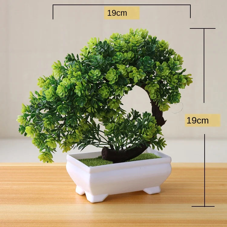 Maliben | Small Tree Pot Bonsai Plants