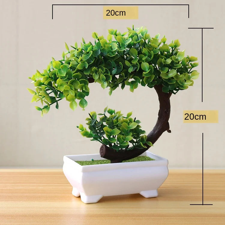Maliben | Small Tree Pot Bonsai Plants