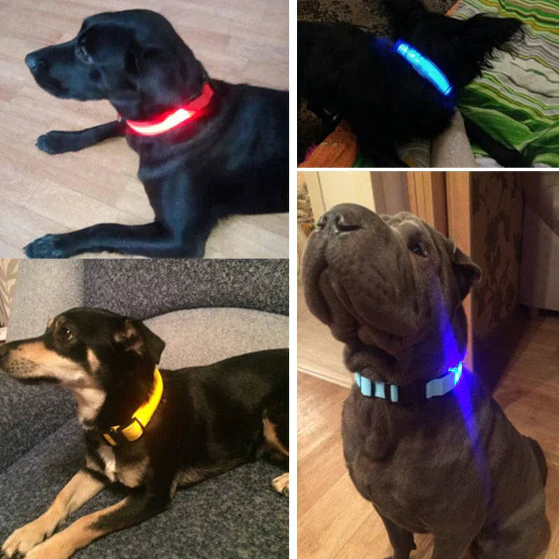 Maliben | GlowPets LED Collar – Safety & Visibility for Pets