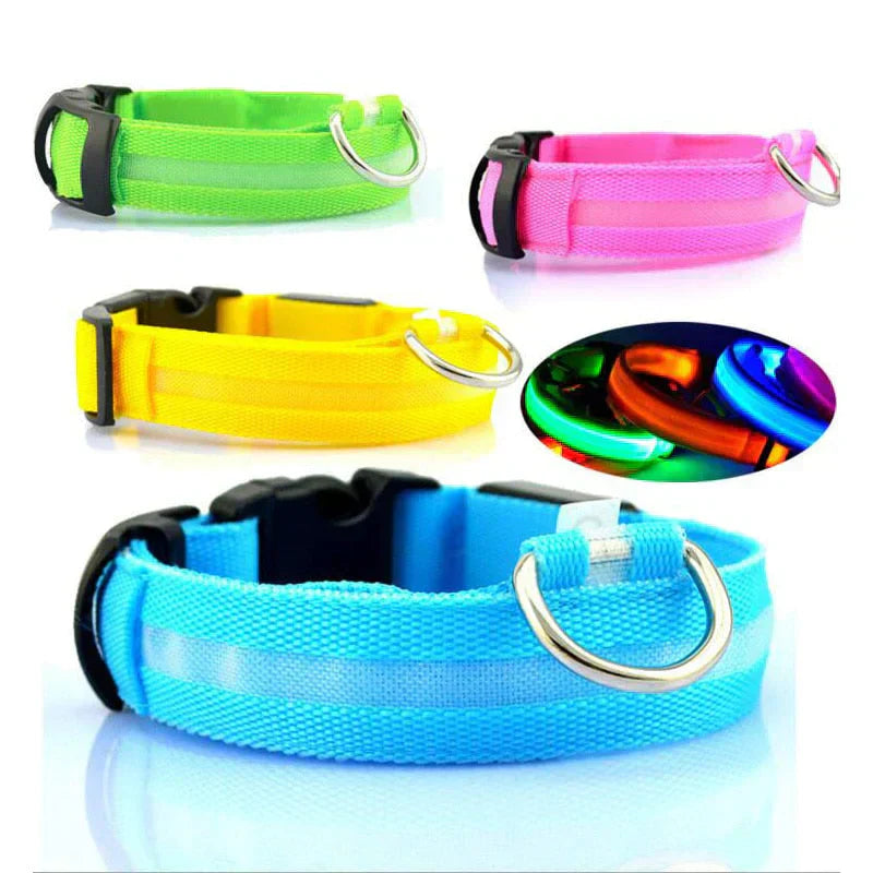Maliben | GlowPets LED Collar – Safety & Visibility for Pets