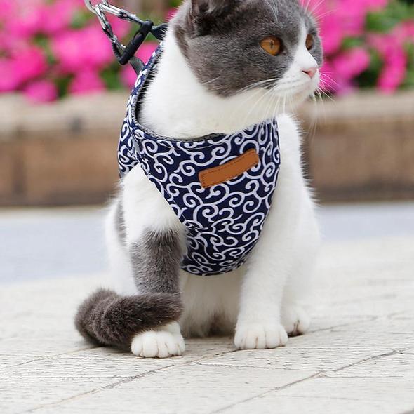Maliben | Cat Vest Harness and Leash Set to Outdoor Walking