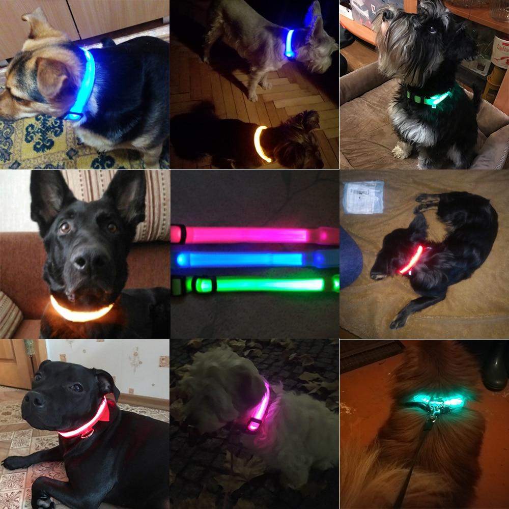 Maliben | Light Up Dog Collar - Flashing Dog Collar