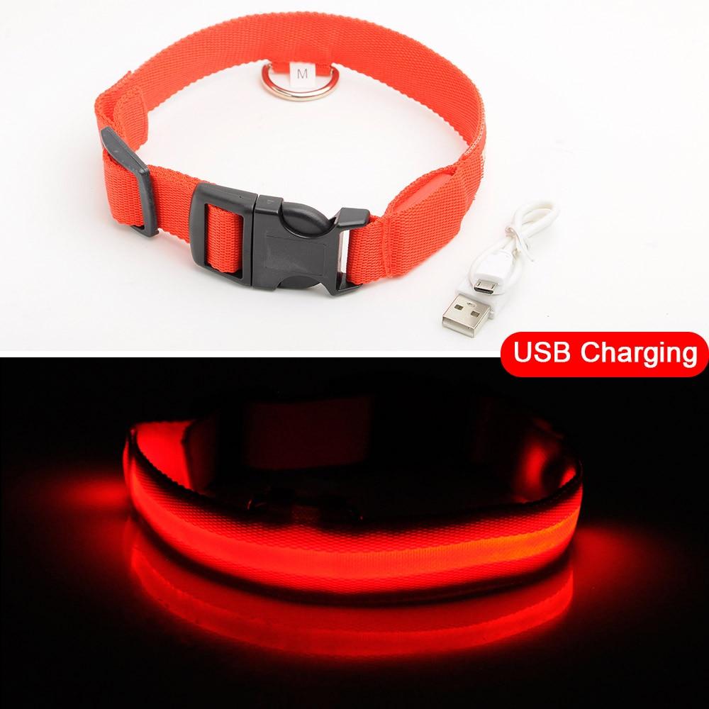 Maliben | Light Up Dog Collar - Flashing Dog Collar