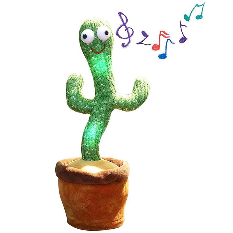 Maliben | Dancing Cactus™