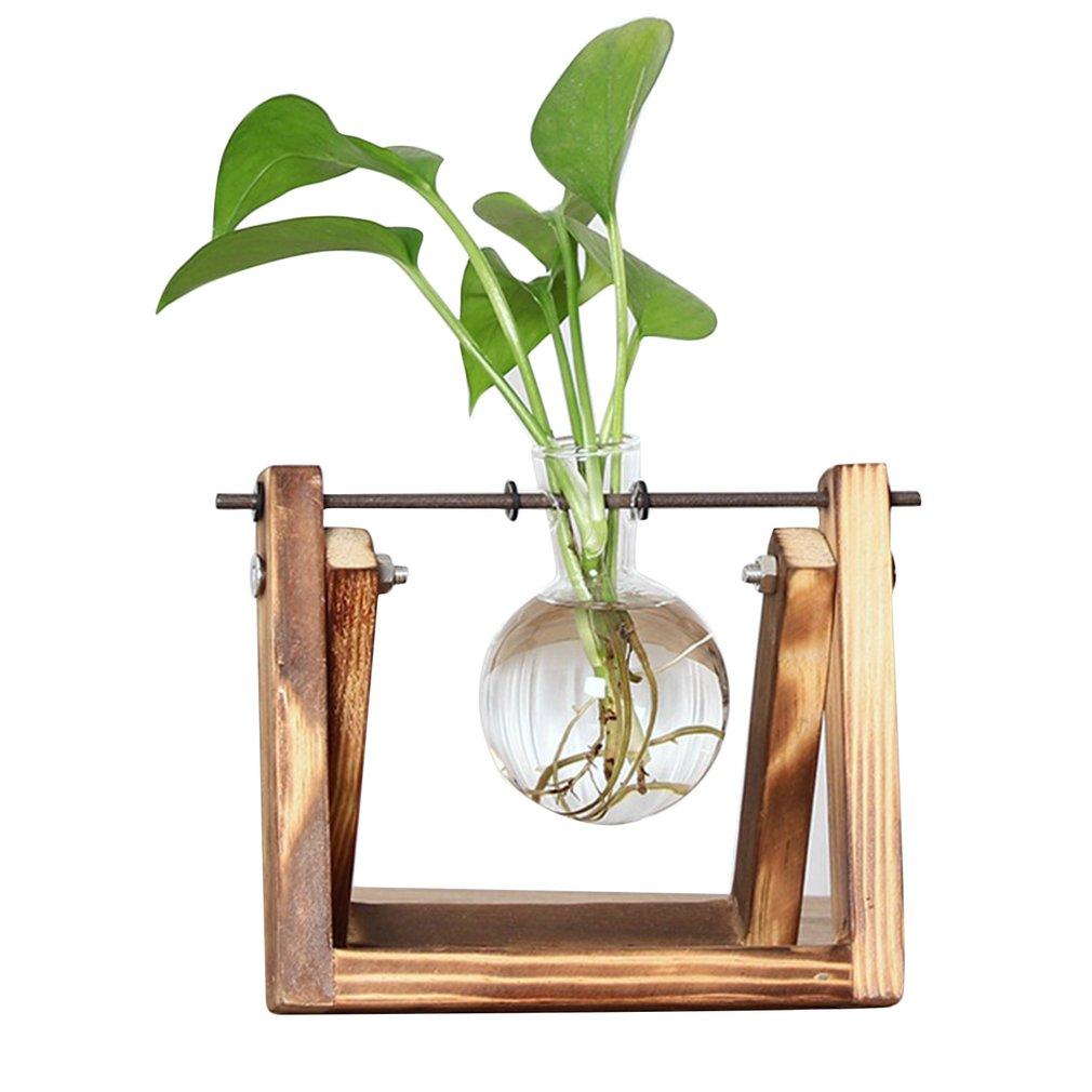 Maliben | Fauna Plants Cuttings Pots | Grow Your Own Plants At Home