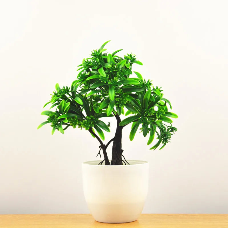 Maliben | Small Tree Pot Bonsai Plants