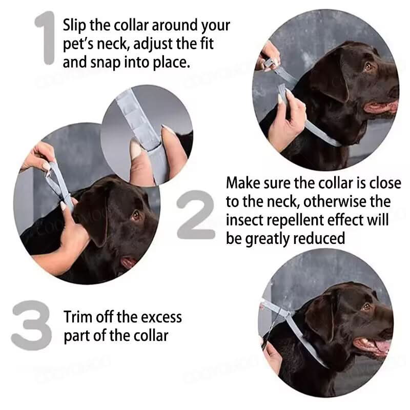 Maliben | PAWTECT - Anti-tick and flea collar