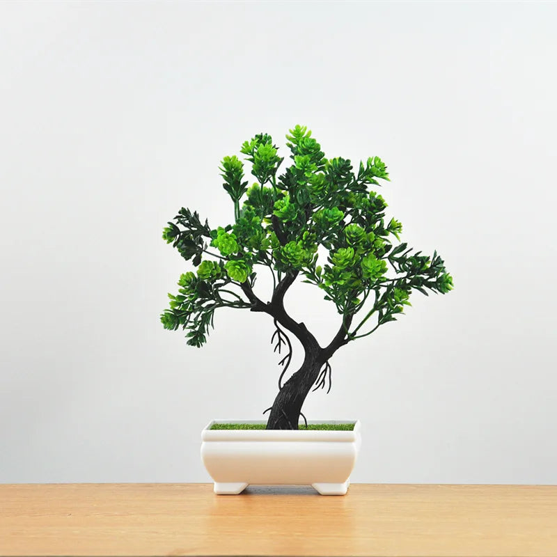 Maliben | Small Tree Pot Bonsai Plants