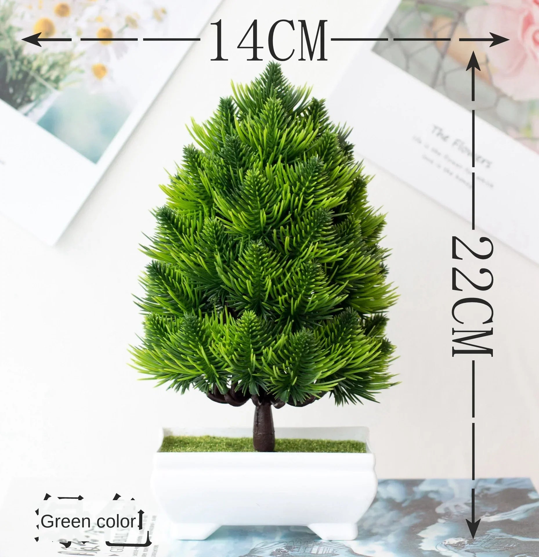 Maliben | Small Tree Pot Bonsai Plants