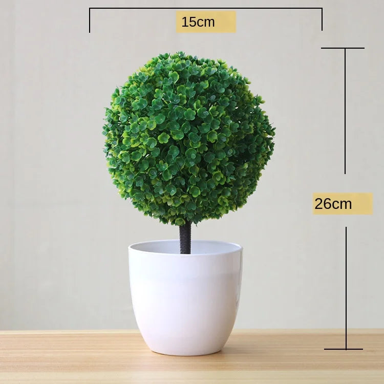 Maliben | Small Tree Pot Bonsai Plants