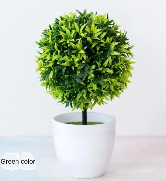 Maliben | Small Tree Pot Bonsai Plants