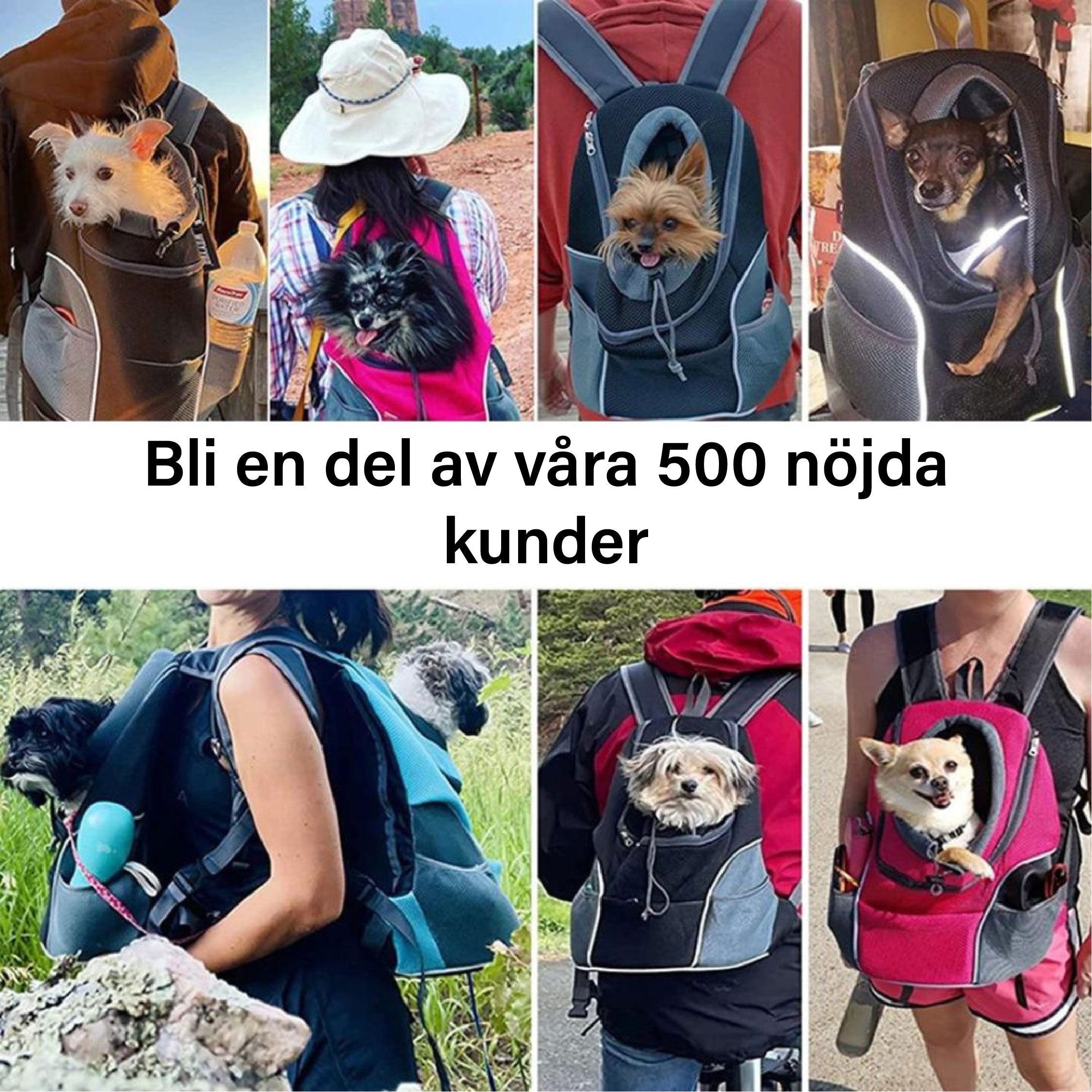 Maliben | Pawcarry – TogeTher Everywhere On the Go