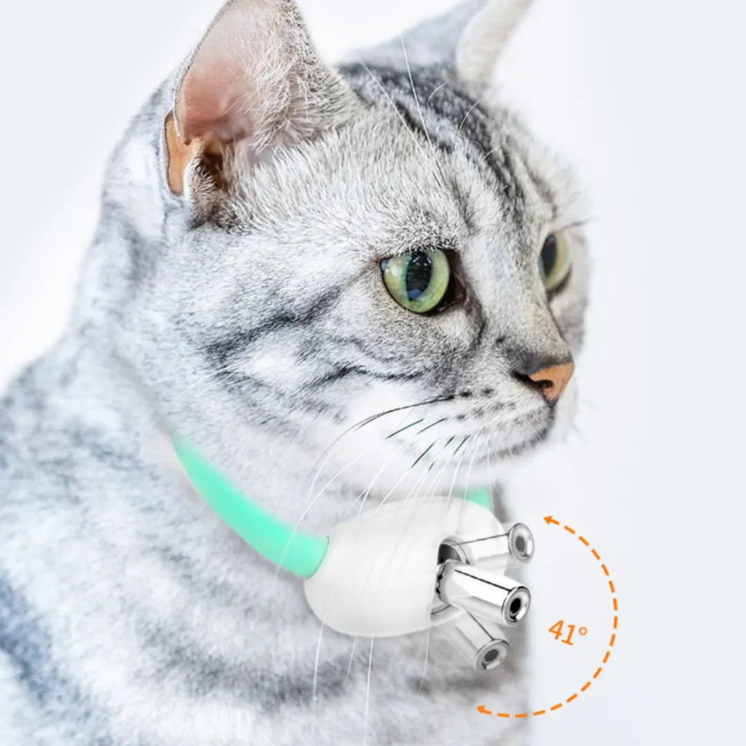 Maliben | Cat Collar Laser Light Toy – Endless Fun for Your Cat