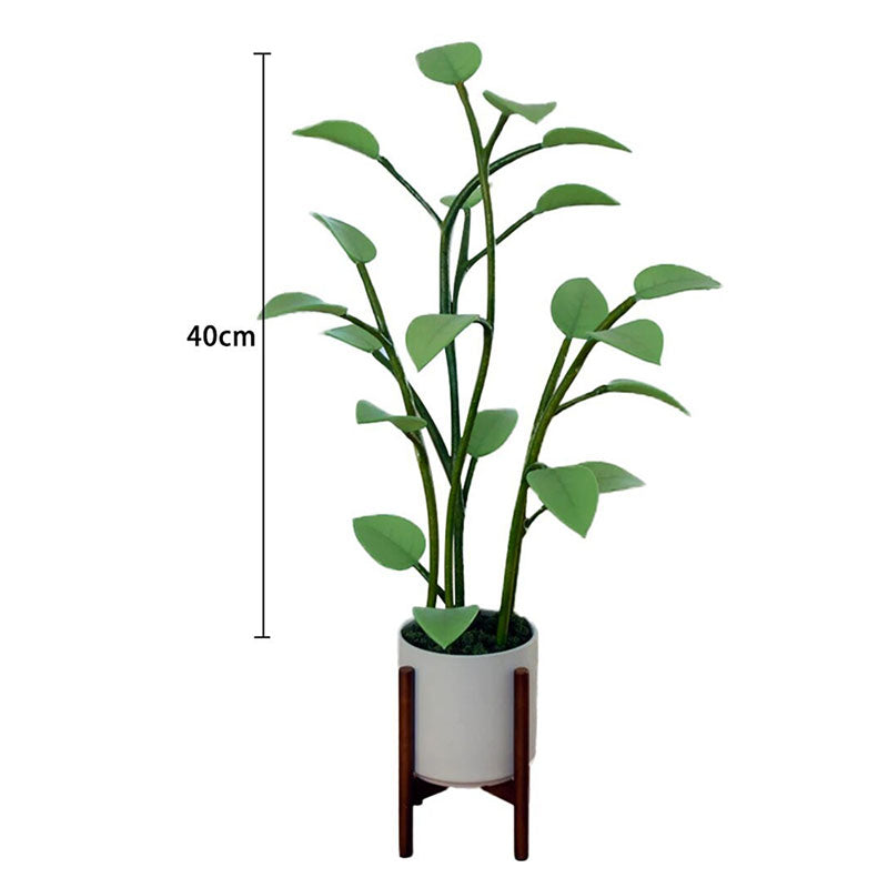 Maliben | Luminous Bloom | Magic Led Plant