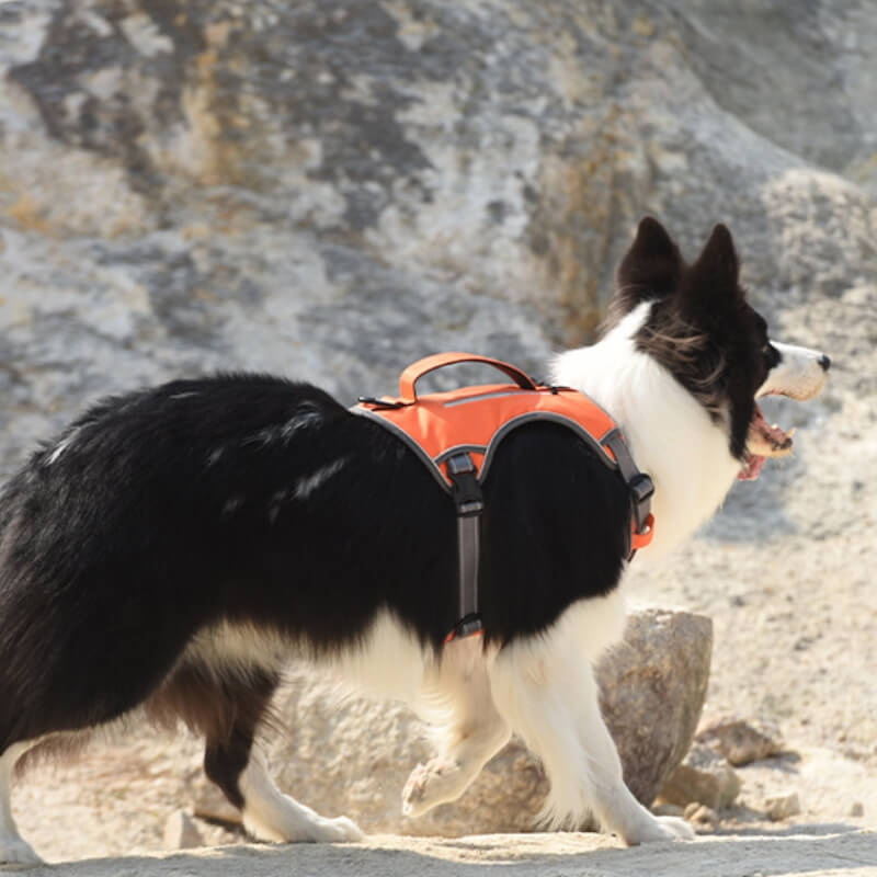 Maliben | Multifunctional explosion-proof anti-pull harness for medium to large dogs harness