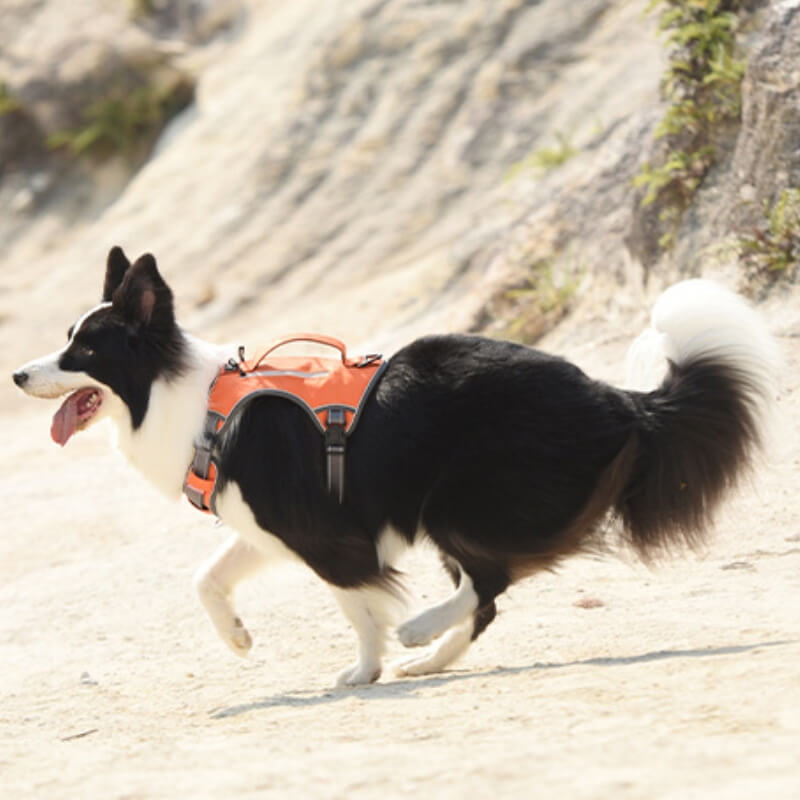Maliben | Multifunctional explosion-proof anti-pull harness for medium to large dogs harness